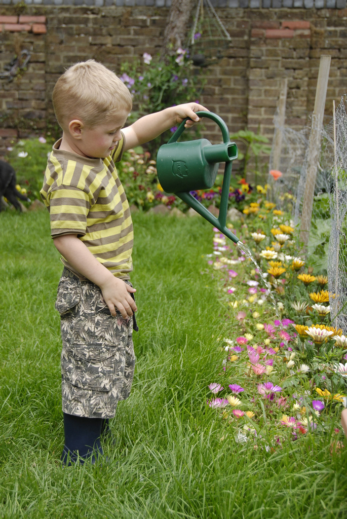 photo credit: Watering the Flowers via photopin (license)