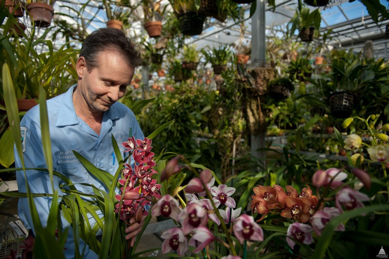 photo credit: Caring for Orchids at the U.S. Botanic Garden via photopin (license)