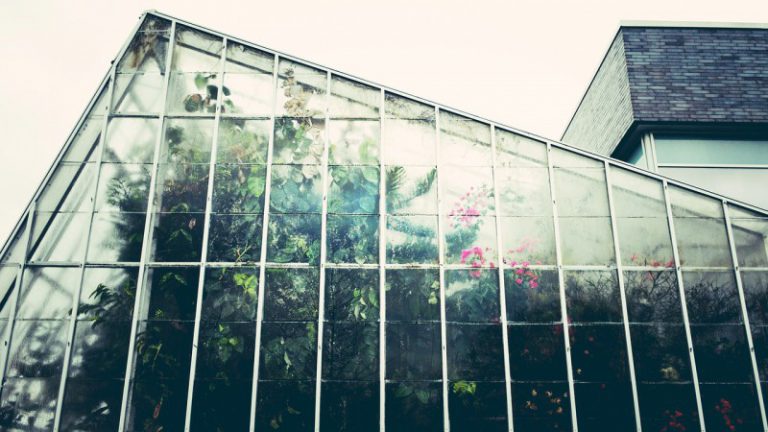 温室を建てることは植物愛好家の最終目標であり、ロマンである…ということを考えてみた。 | ボタニカログ