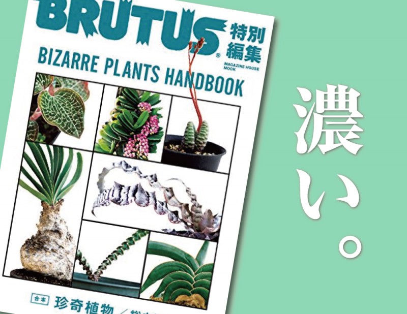 BRUTUS特別編集『合本 珍奇植物/総まとめ』を読む。「植物と生きる」ための入門書ともいえる。 | ボタニカログ