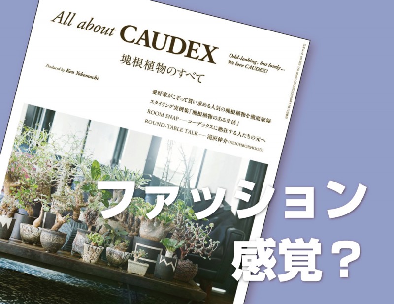 All About CAUDEX―塊根植物のすべて―』を読んで。「ファッション感覚 