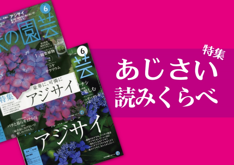 趣味の園芸６月号は17年も18年も アジサイ特集 僕ならこう読む ボタニカログ